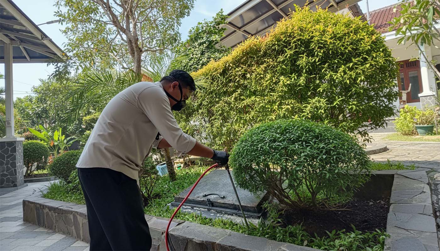 Rumah Sudah Dihuni Tapi Kena Rayap? Ini Solusi Anti Rayap Pasca-Konstruksi