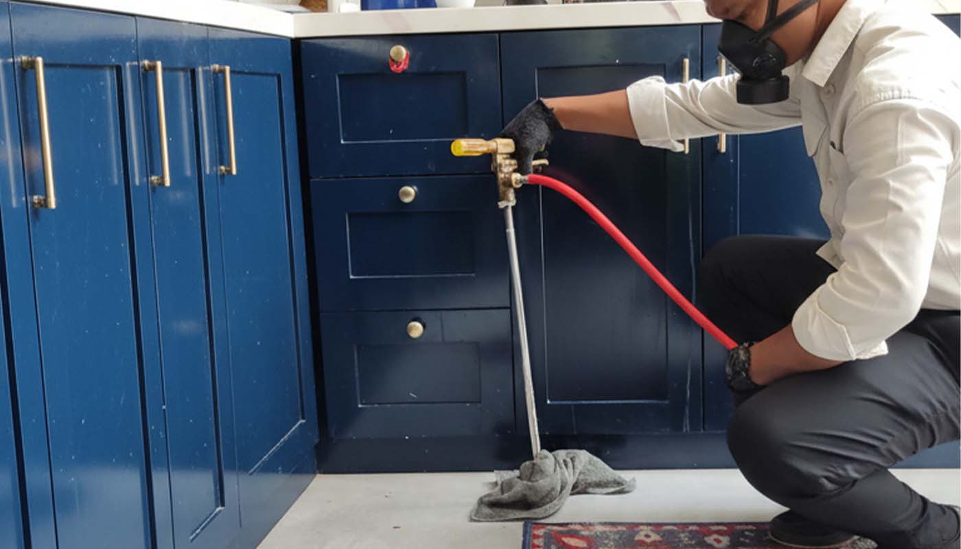 Solusi Anti Rayap untuk Kitchen Set: Cegah Hancur 