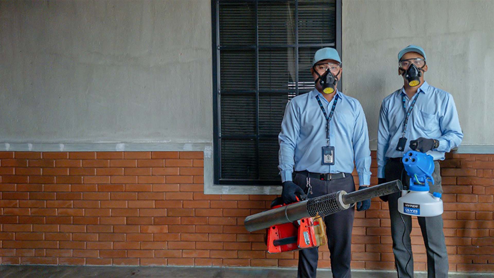 Pentingnya Pest Control Rutin untuk Perkantoran: Jaga Kenyamanan Karyawan