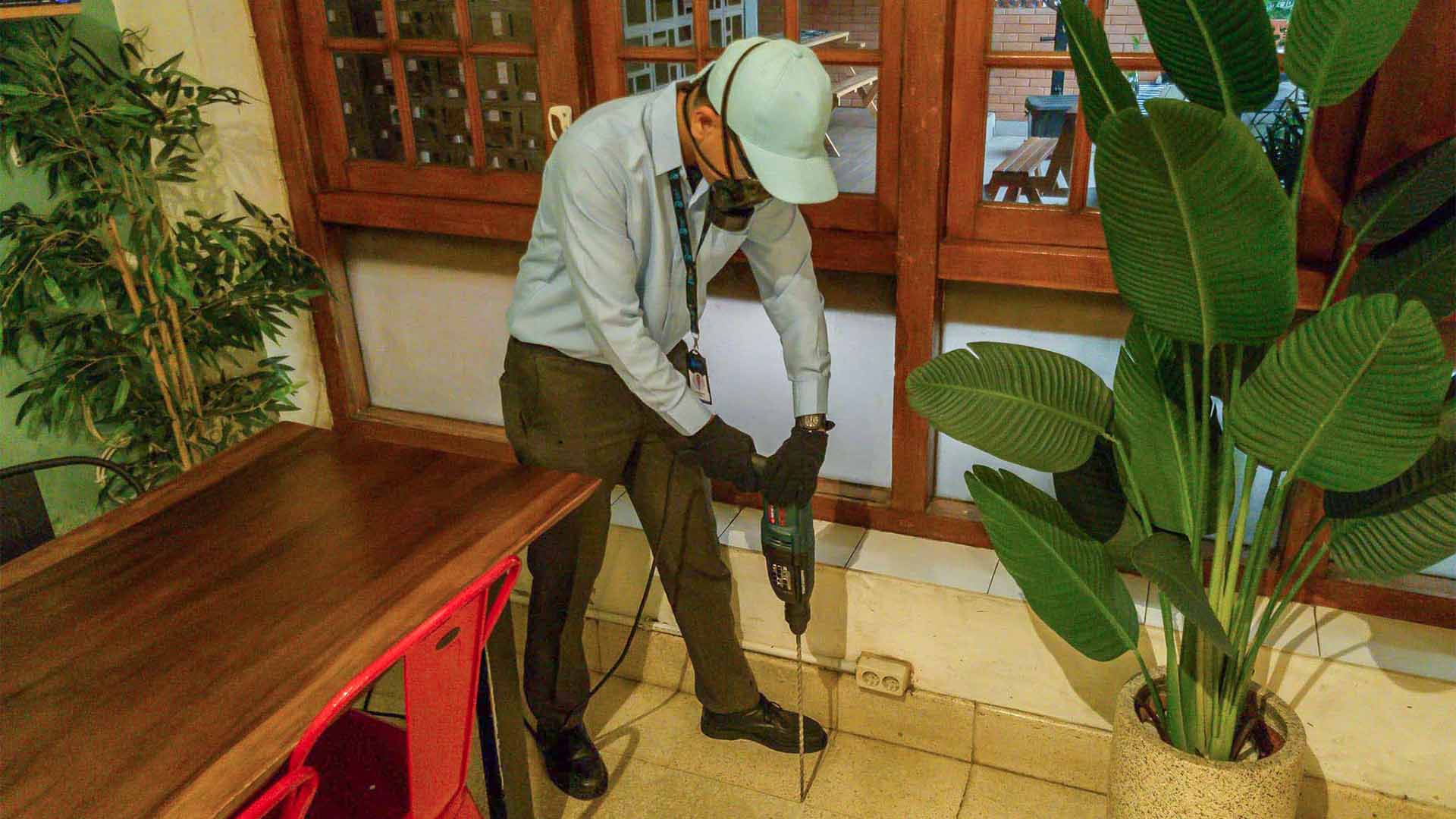 Perbedaan Anti Rayap Pra Konstruksi dan Pasca Konstruksi