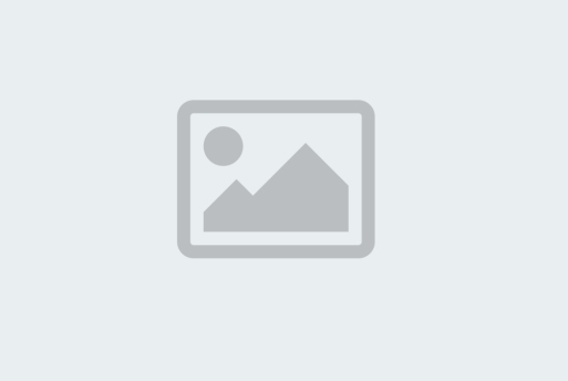 Icon tidak ada artikel