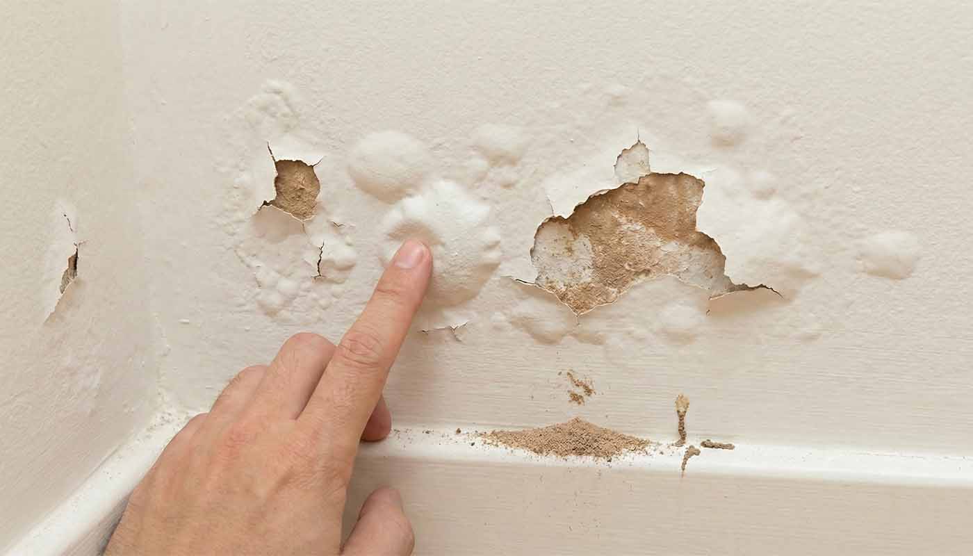 Plafon atau Tembok Gypsum Terlihat Menggelembung